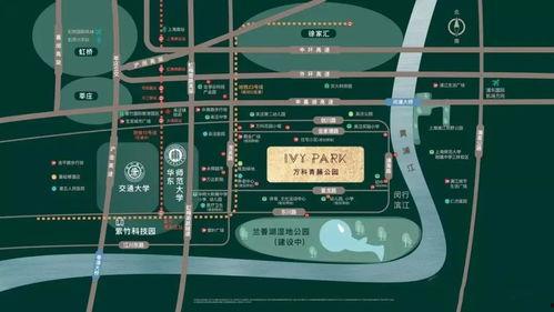 爆料青藤公园事件视频,真相与争议交织