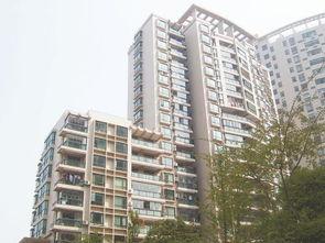 龙兴嘉苑爆料最新消息,揭秘项目进展与周边动态  第2张